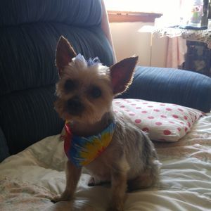 Meet your Posher, Glenna